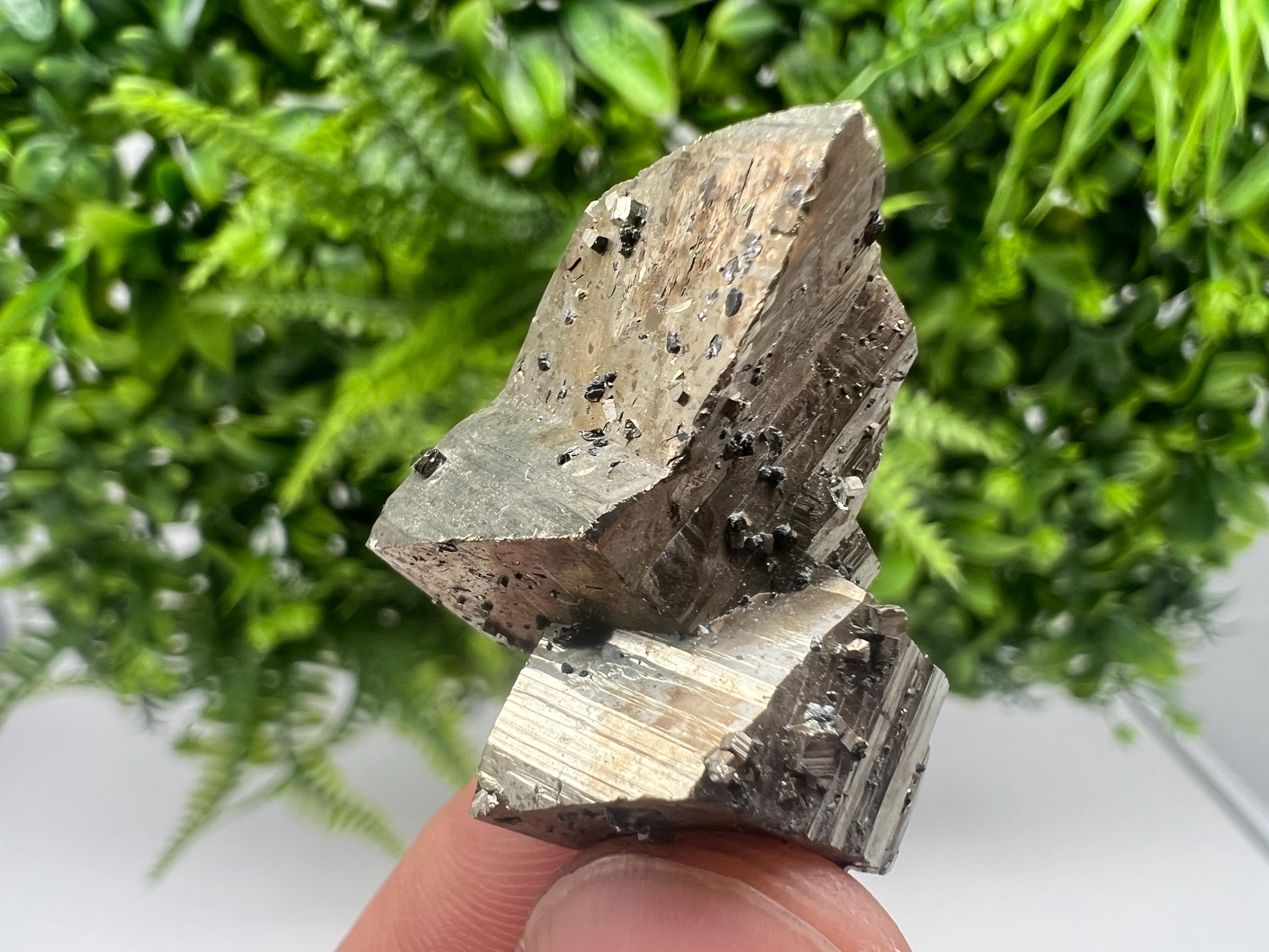 Mini Rainbow Pyrite Cluster: Borieva Mine, Bulgaria