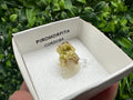 Raw Pyromorphite Crystal Cluster on Matrix, Mini Specimen