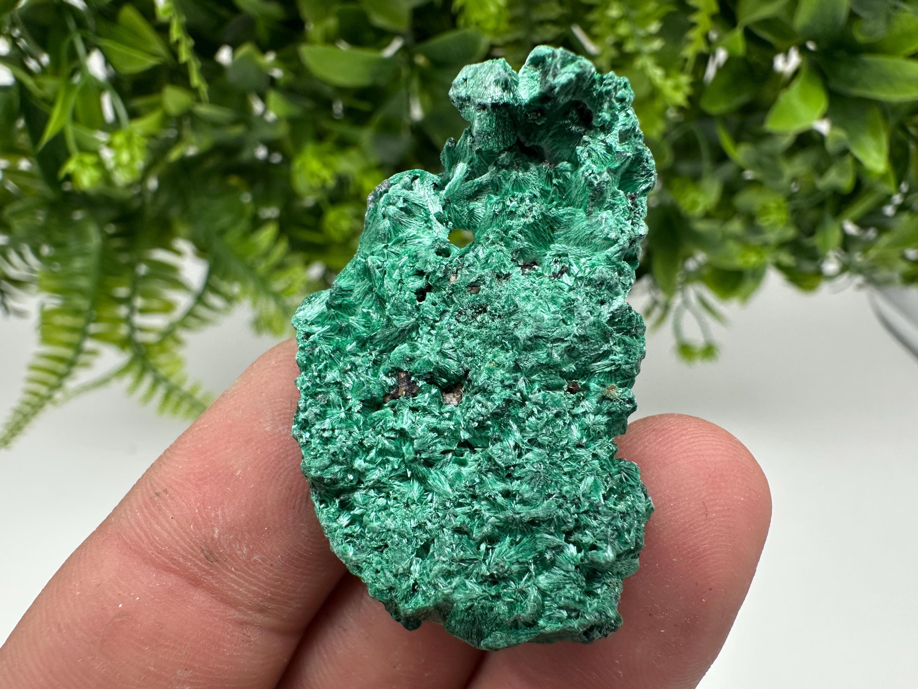 Malachite Crystal from Congo,Minerals,Crystals from Congo,Green Malachite, Malachite,Natural Malachite,Malachite Stone,Chakra, Specimens