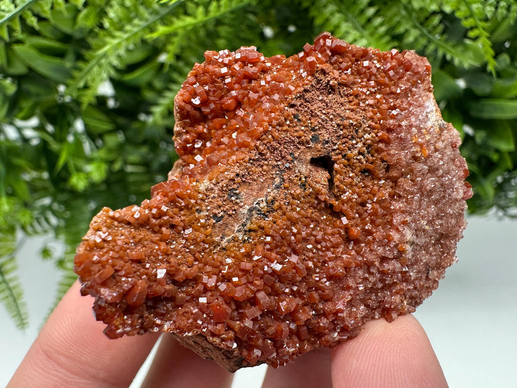 Red Vanadinite on Matrix from Marocco,crystal minerals Speciment cluster Vanadinite crystal Vanadinite Geology Vanadinite cluster minerals