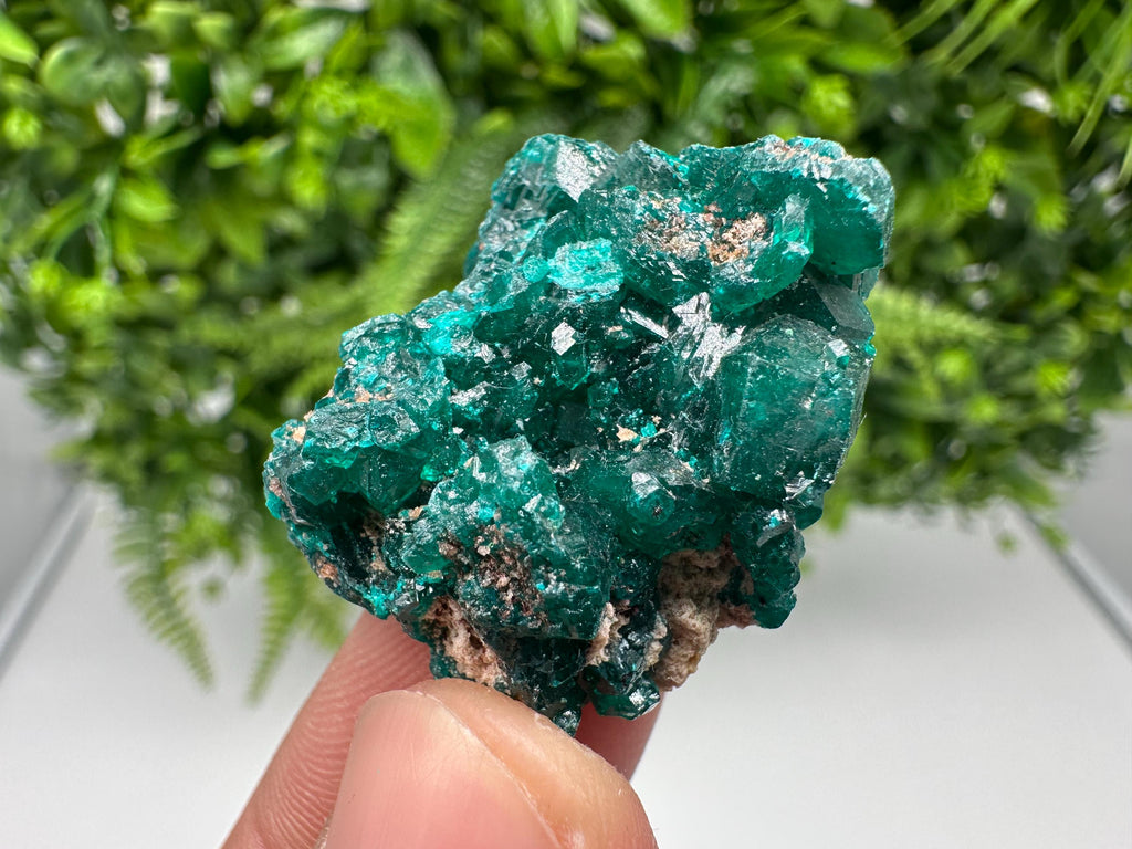 Stunning Green Dioptase from Sanda Hills,Mindouli,Pool Department,Mindouli District,Congo,green Dioptase,Dioptas Crystal,Dioptase collecting