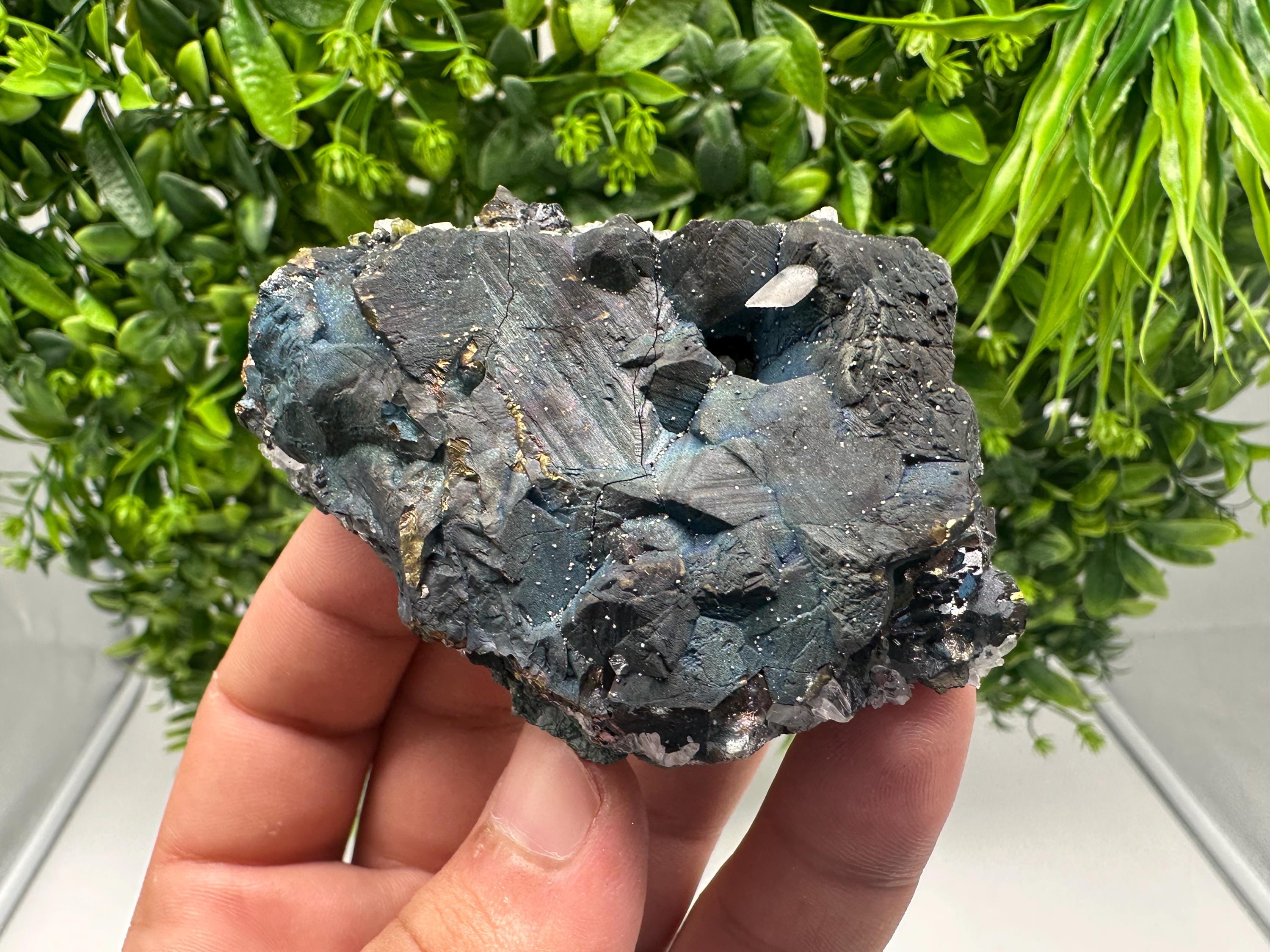 Chalcopyrite Bornite Covelline Mineral Specimen: Djurcovo Mine, Bulgaria