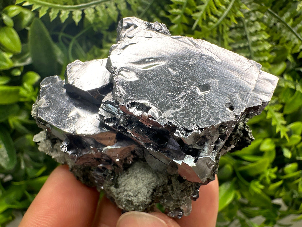 Mirror Galena on Quartz with Chlorite, Borieva Mine, Bulgaria