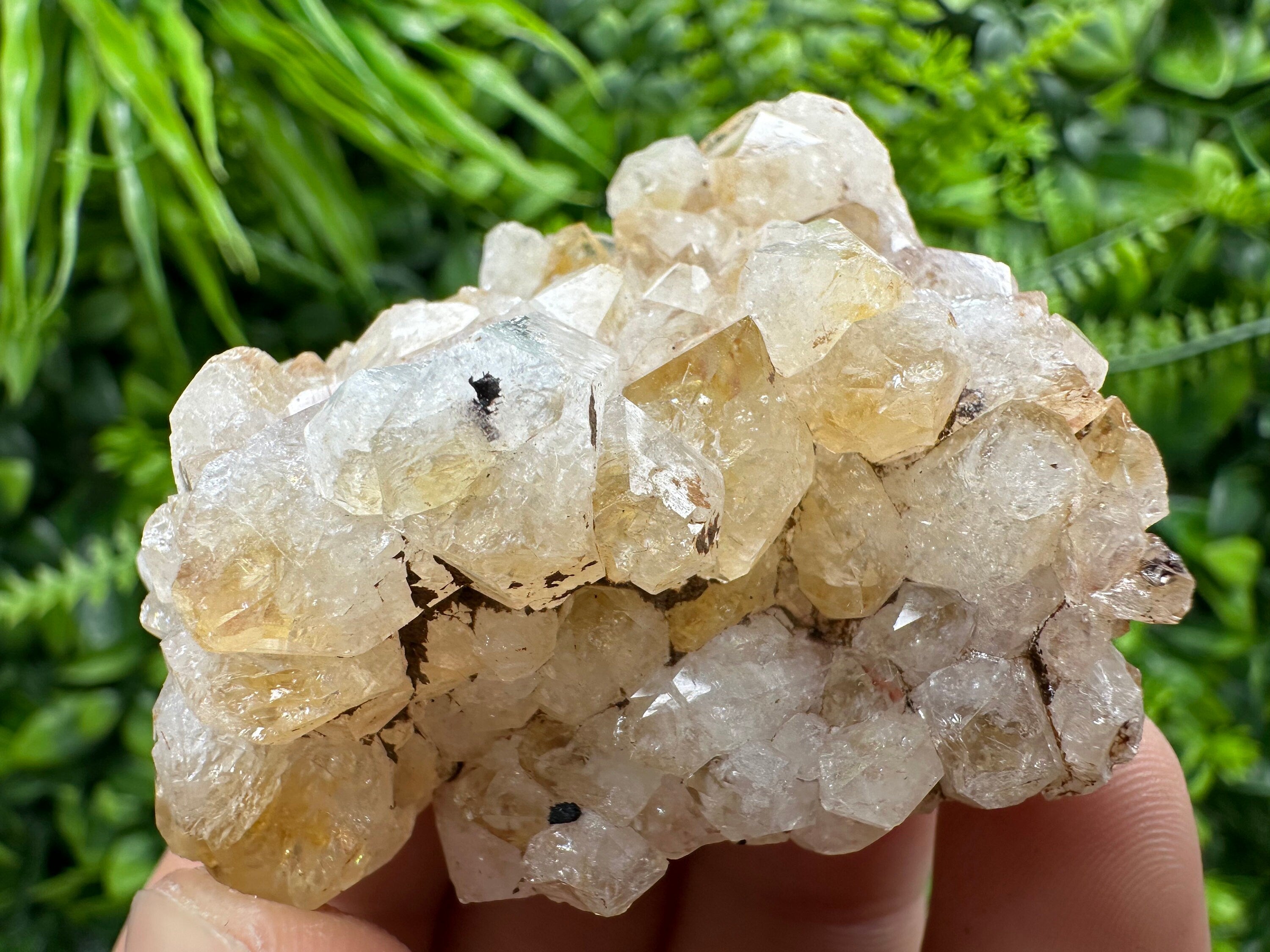 Citrine Crystal Cluster with Hematite Inclusions - Brazil