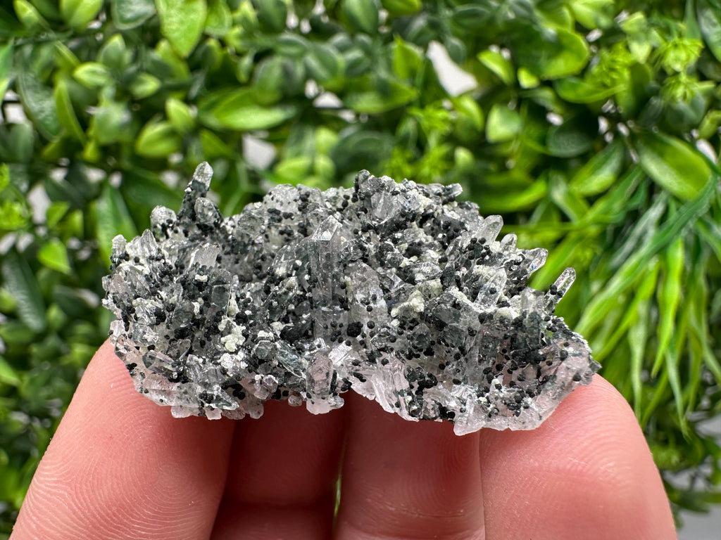 Chlorite Quartz Mineral Specimen, Borieva Mine, Bulgaria