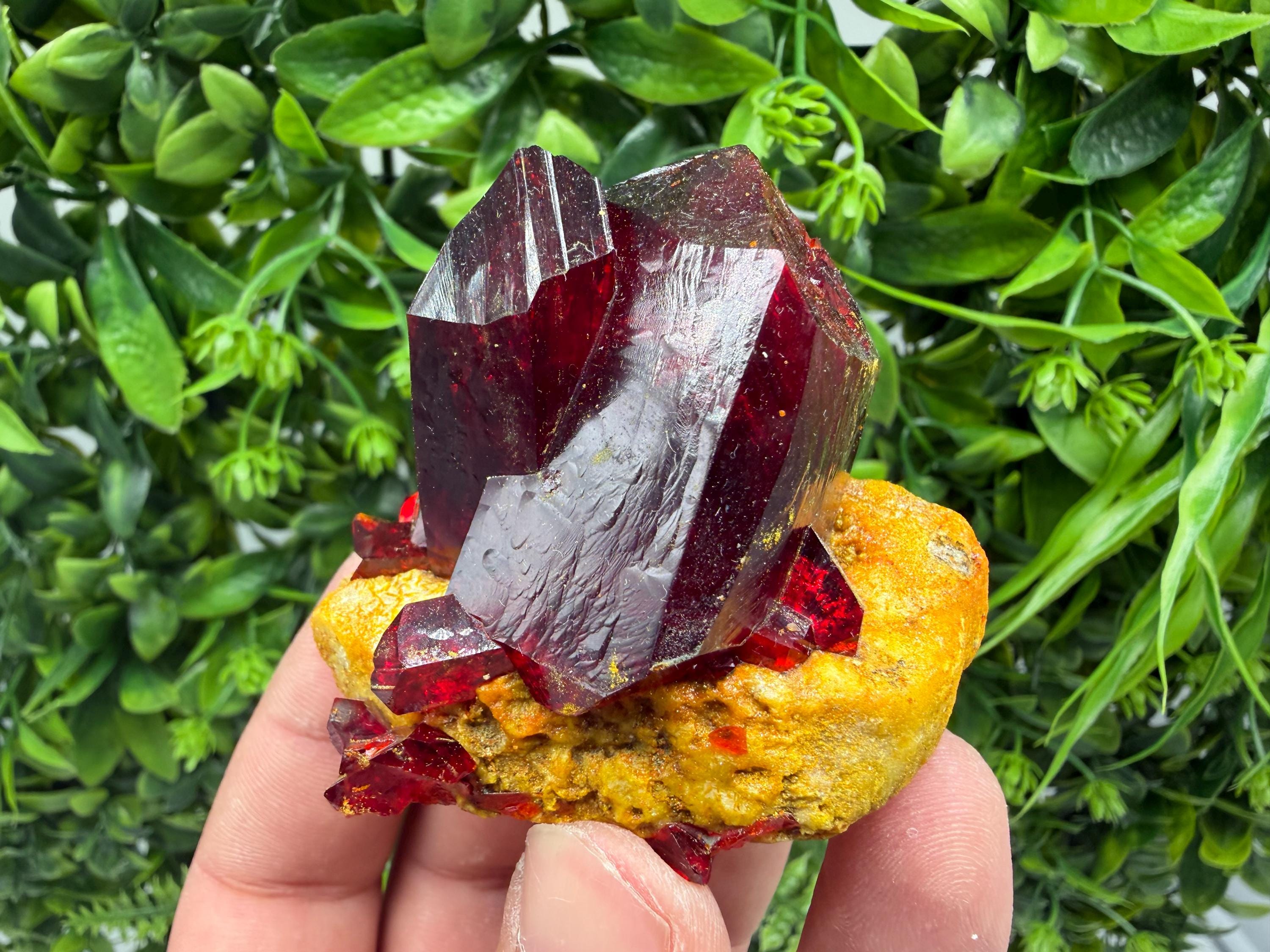 XXL Laboratory Pruskite Ruby Crystal on Matrix