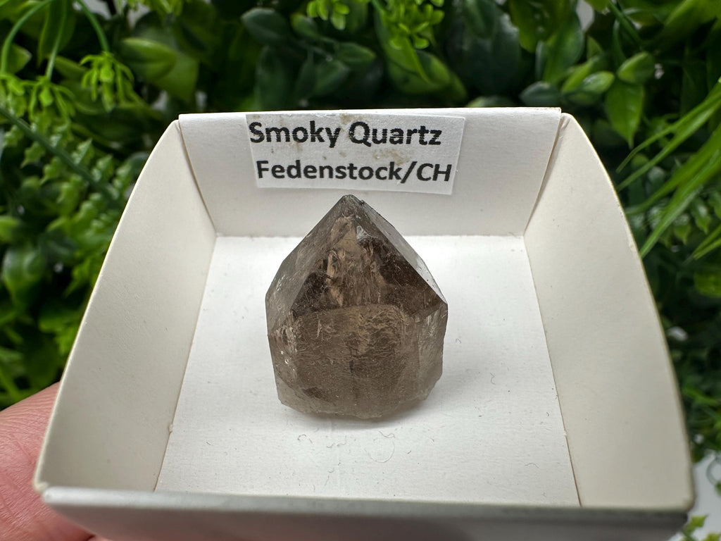 Rare Fedenstock Smoky Quartz, Swiss Mineral Specimen (20/20MM)