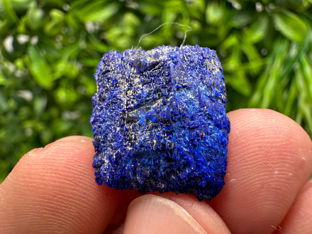 Crystallized Azurite-Kerrouchen,Morocco-Blue Azurite Specimen-High Quality Blue Azurite-Azurite Mineral Specimen, gemmy,lustrous of Azurite