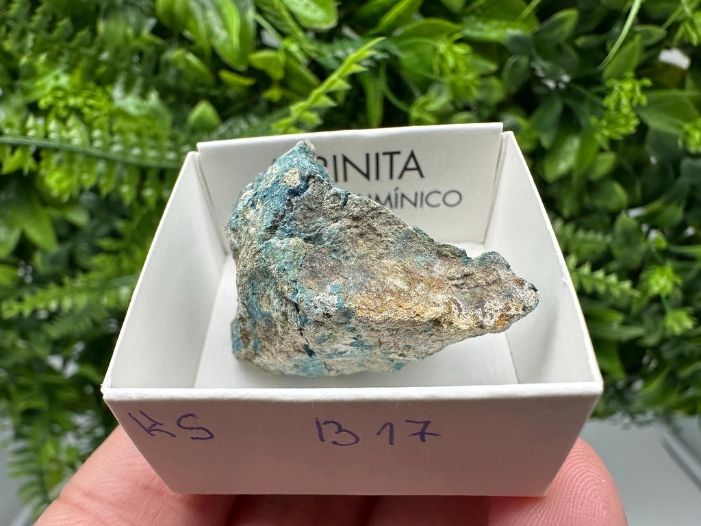 Rare Raw Aerinite Mineral Specimen: Lleida, Spain Crystal