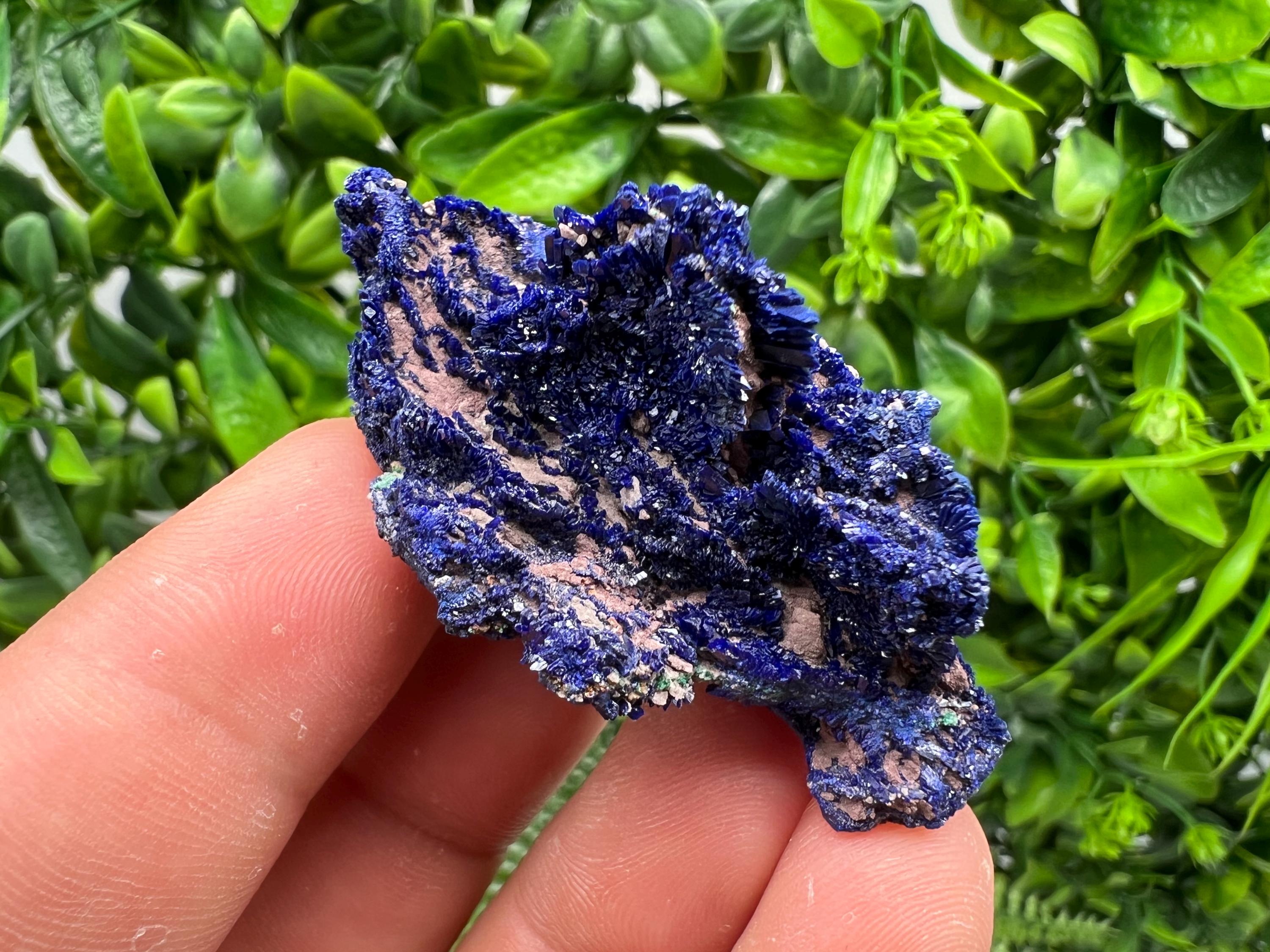 Crystallized Azurite-Kerrouchen,Morocco-Blue Azurite Specimen-High Quality Blue Azurite-Azurite Mineral Specimen, gemmy,lustrous of Azurite