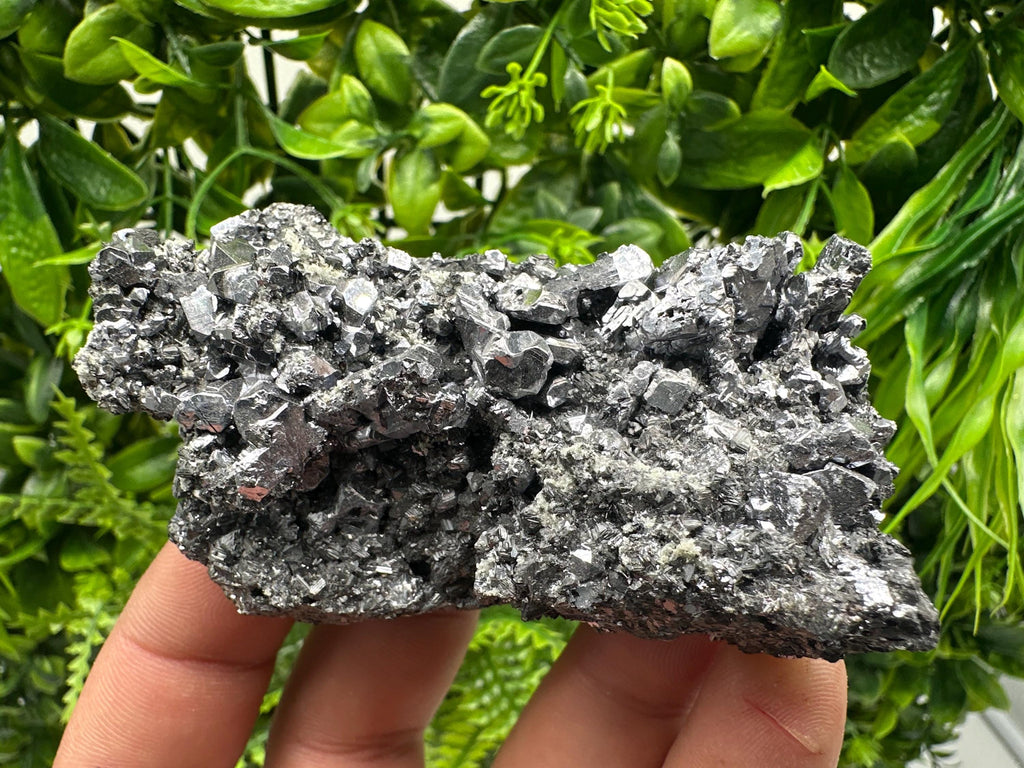 Galena Spinel Law on Sphalerite, Madan Bulgaria Mineral Specimen