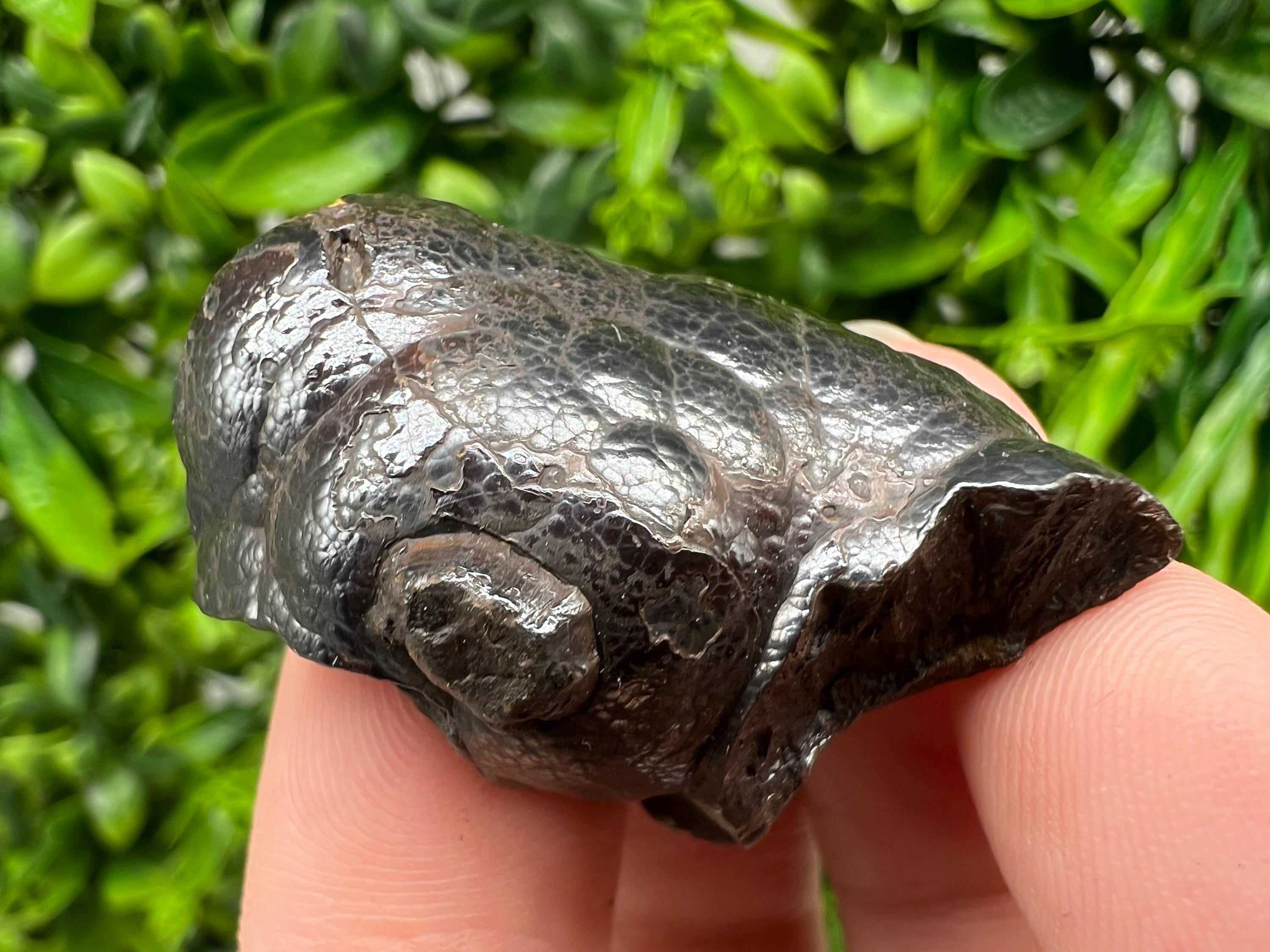 Botryoidal Black Hematite Specimen: Moroccan Crystal, Reiki Chakra Stone