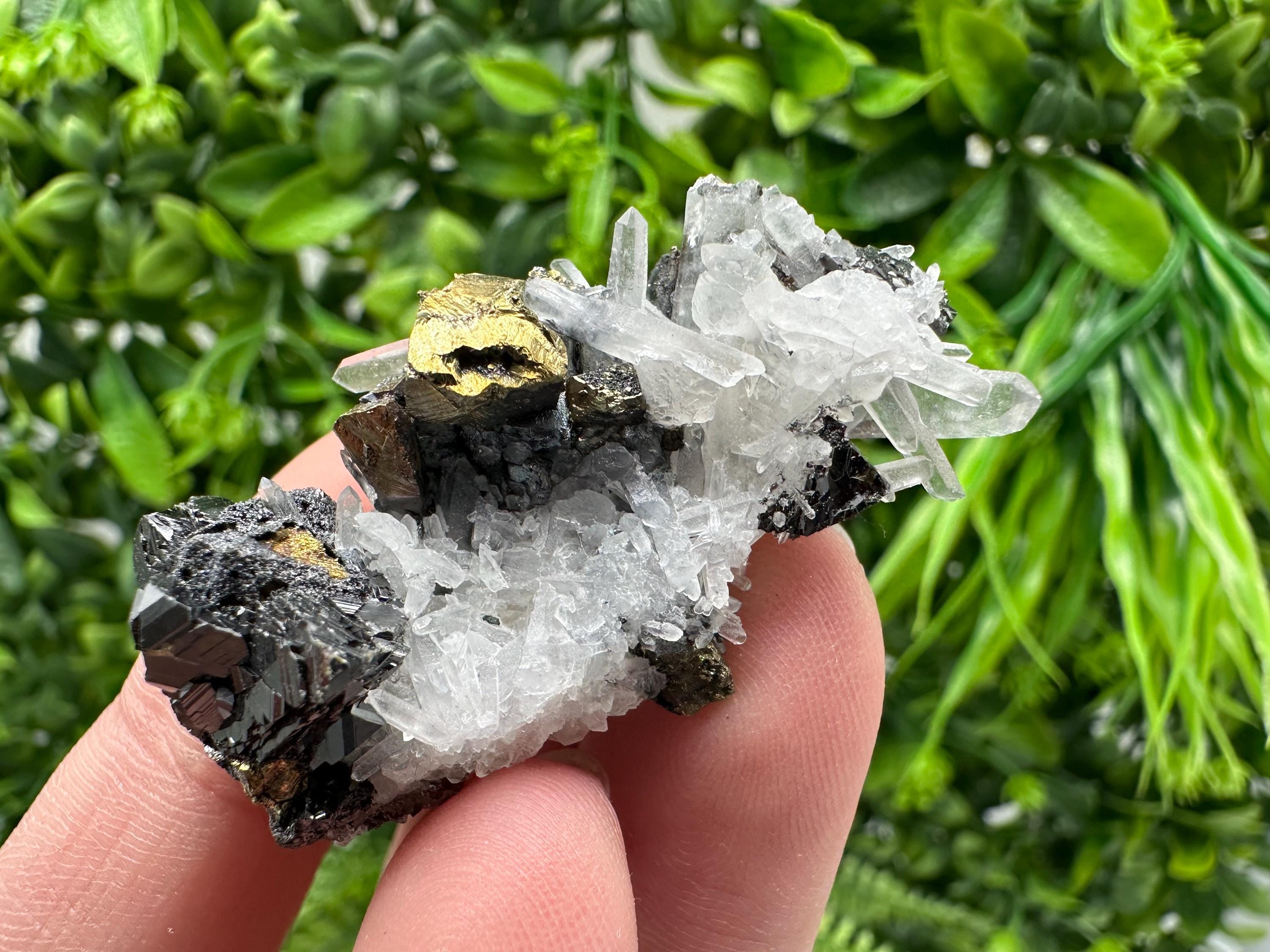 Wonderful Sphalerite Chalcopyrite on  Quartz whit Galena feom 9 th September mine,Bulgaria,natural,collection mineral specimen,gift