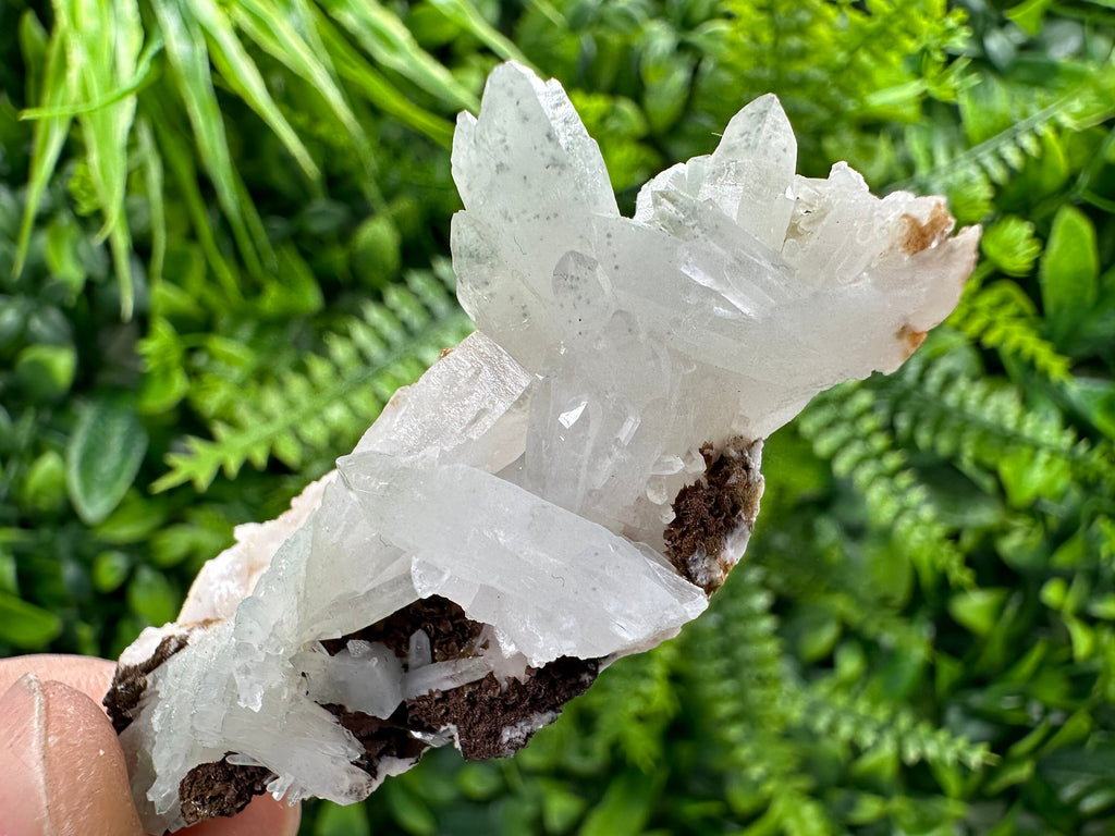 Quartz with Chlorite, Rhodochrosite, and Siderite Mineral Specimen