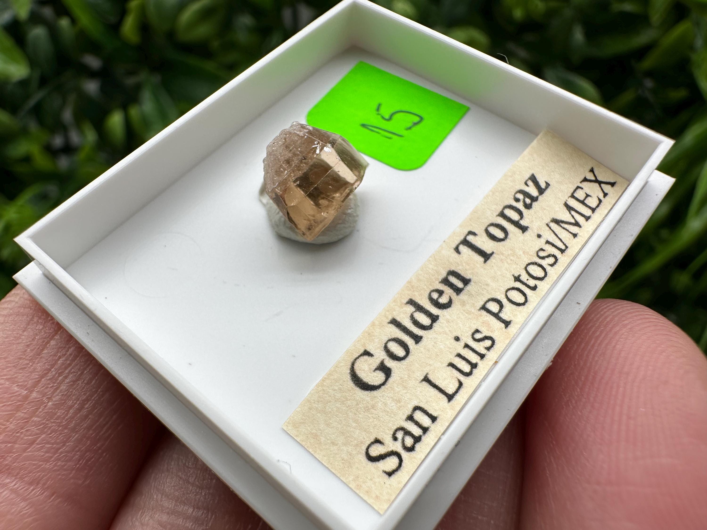 Golden Topaz Crystal, Mineral Specimen from Mexico