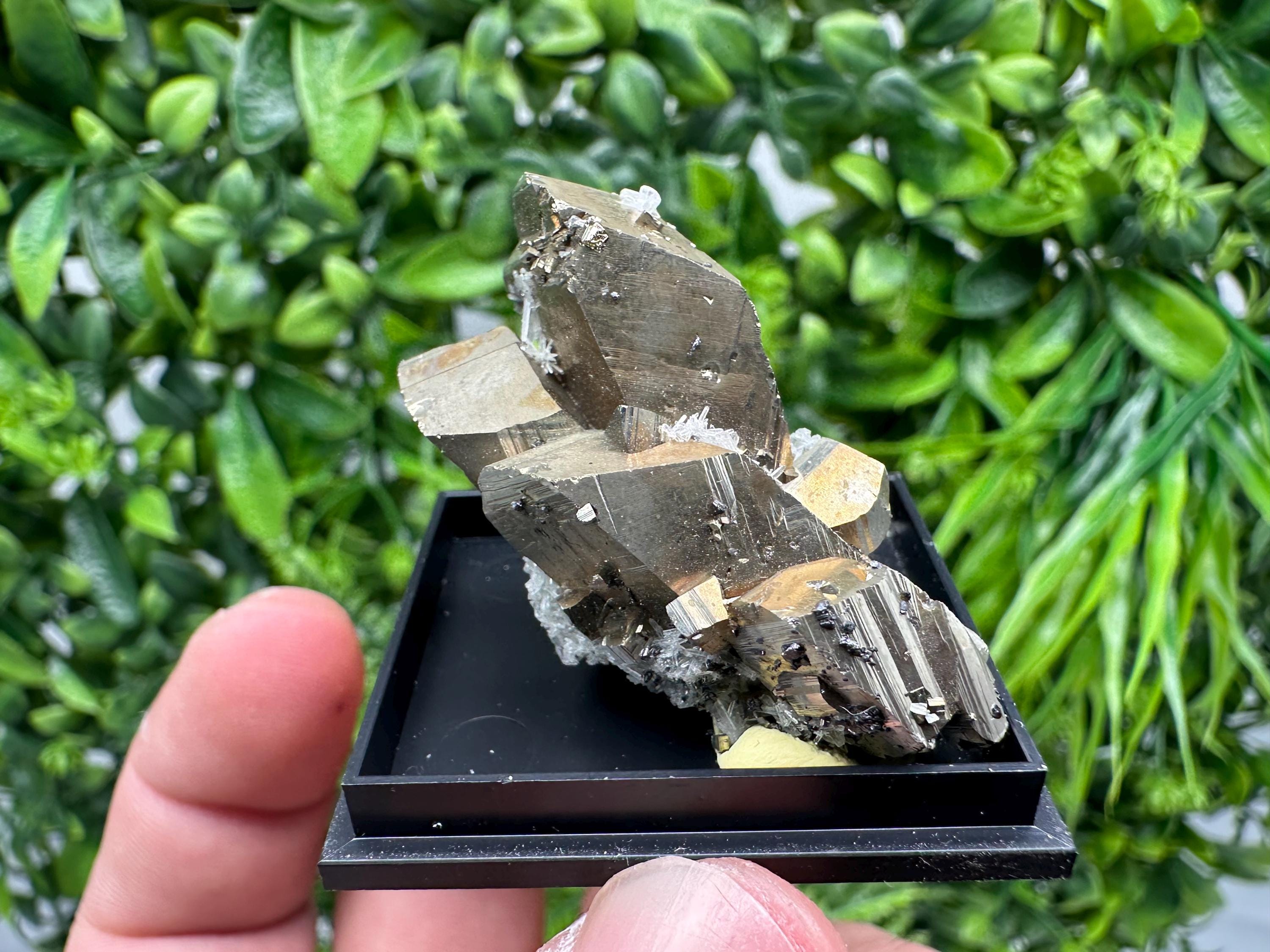 Rare Crystalline Pyrite Cluster - Borieva Mine, Bulgaria