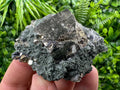 Pyrite with Chlorite: Natural Mineral Souvenir from Bulgaria