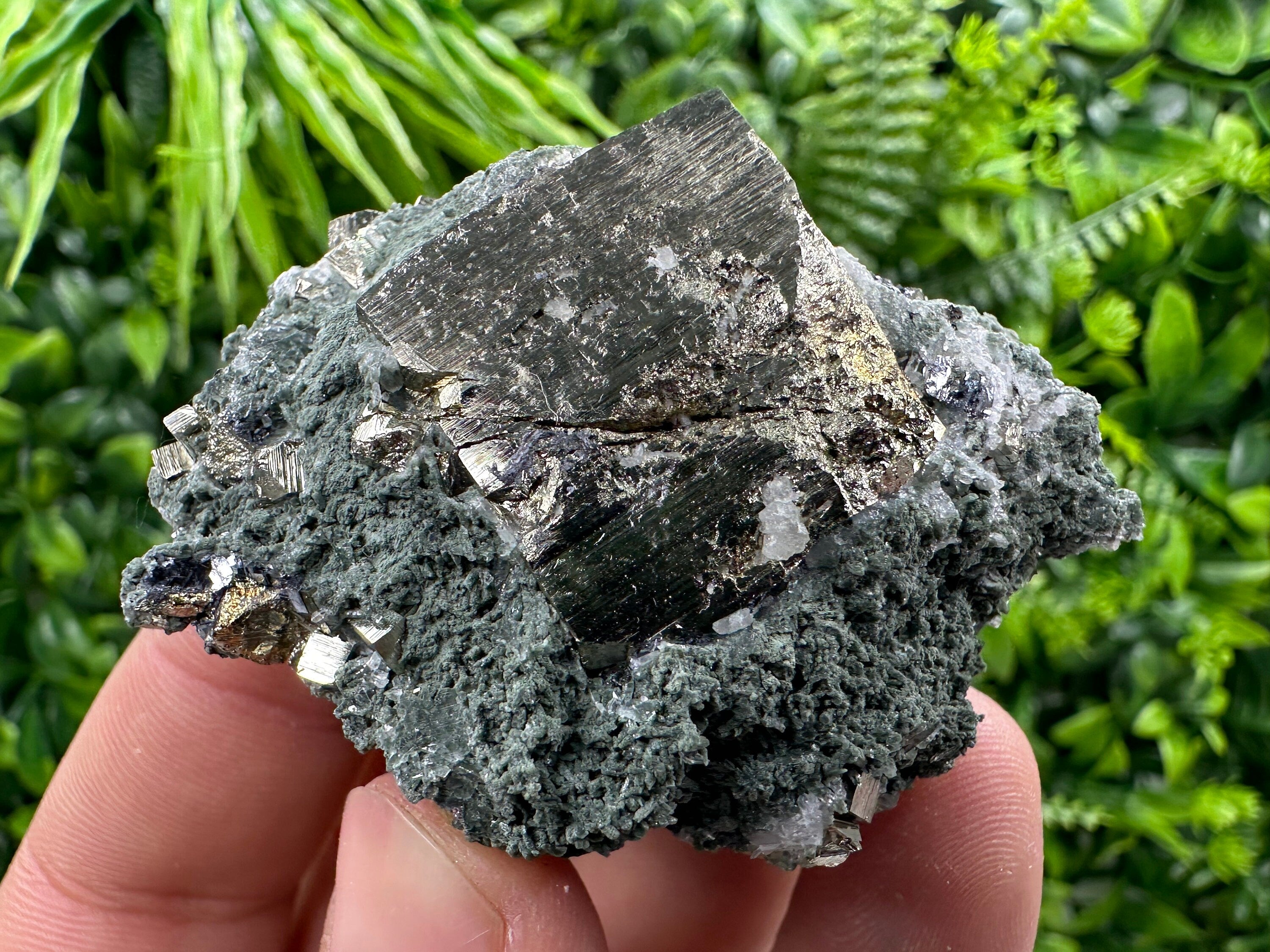 Pyrite with Chlorite: Natural Mineral Souvenir from Bulgaria