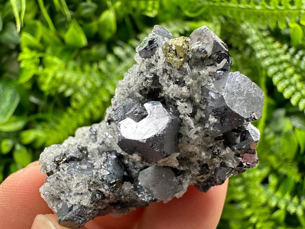 Galena Chalcopyrite on Quartz, Crystal Home Decor, Borieva Mine Bulgaria