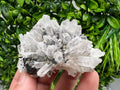 Wonderful Sphalerite Chalcopyrite on Green Quartz whit Hematite feom 9 th September mine,Bulgaria,natural,collection mineral specimen,gift