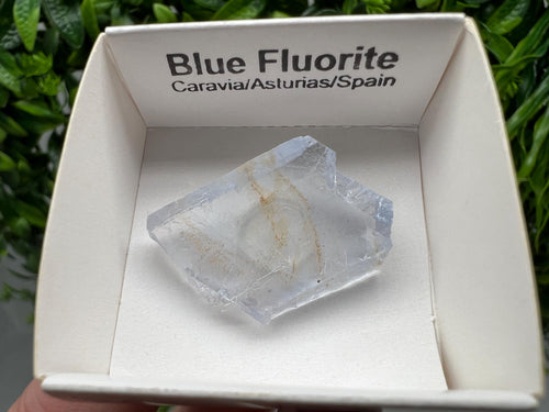 Blue Fluorite Mineral Specimen: Spain Collection (3/2 cm
