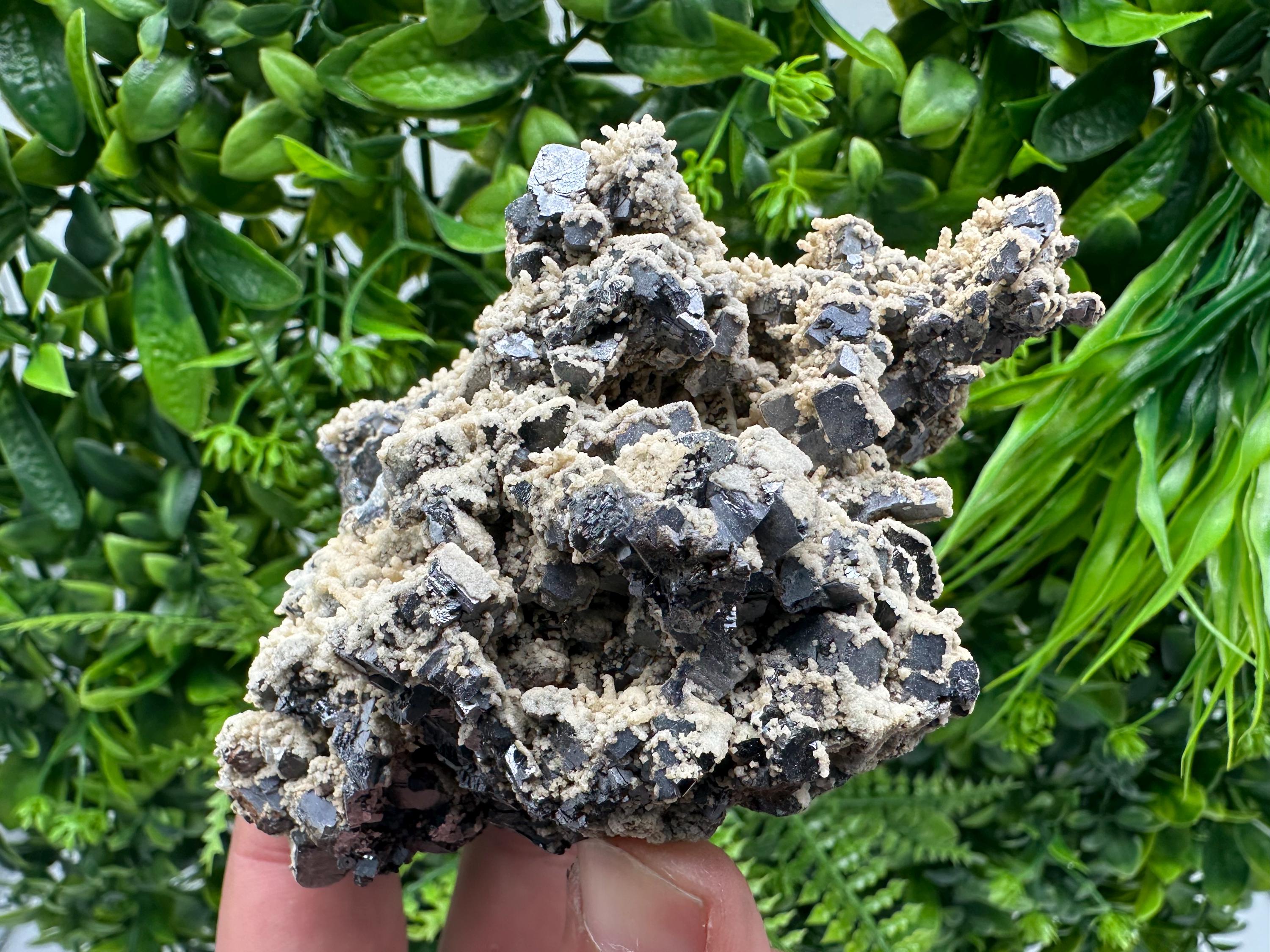Galena Dolomite Cluster, Krushev dol Bulgaria Mineral Specimen