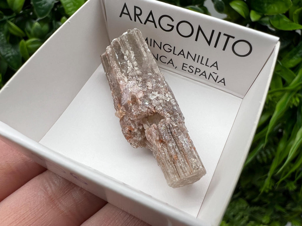 Amazing Aragonite from Spain,Aragonite crystal,cluster,natural,mineral,specimen,Purple Aragonite,Spanish Aragonite,Mineralcollection