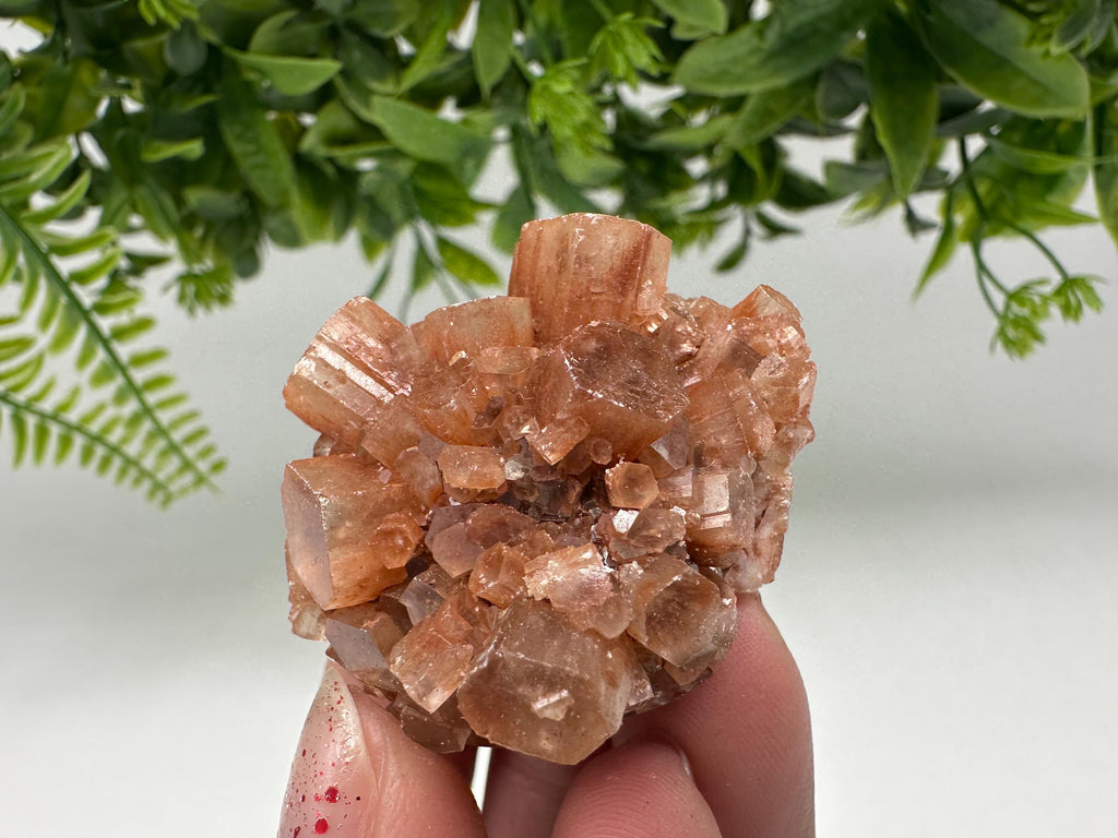 Aragonite Sputnik Cluster: Raw Moroccan Crystal Stone, Home Decor