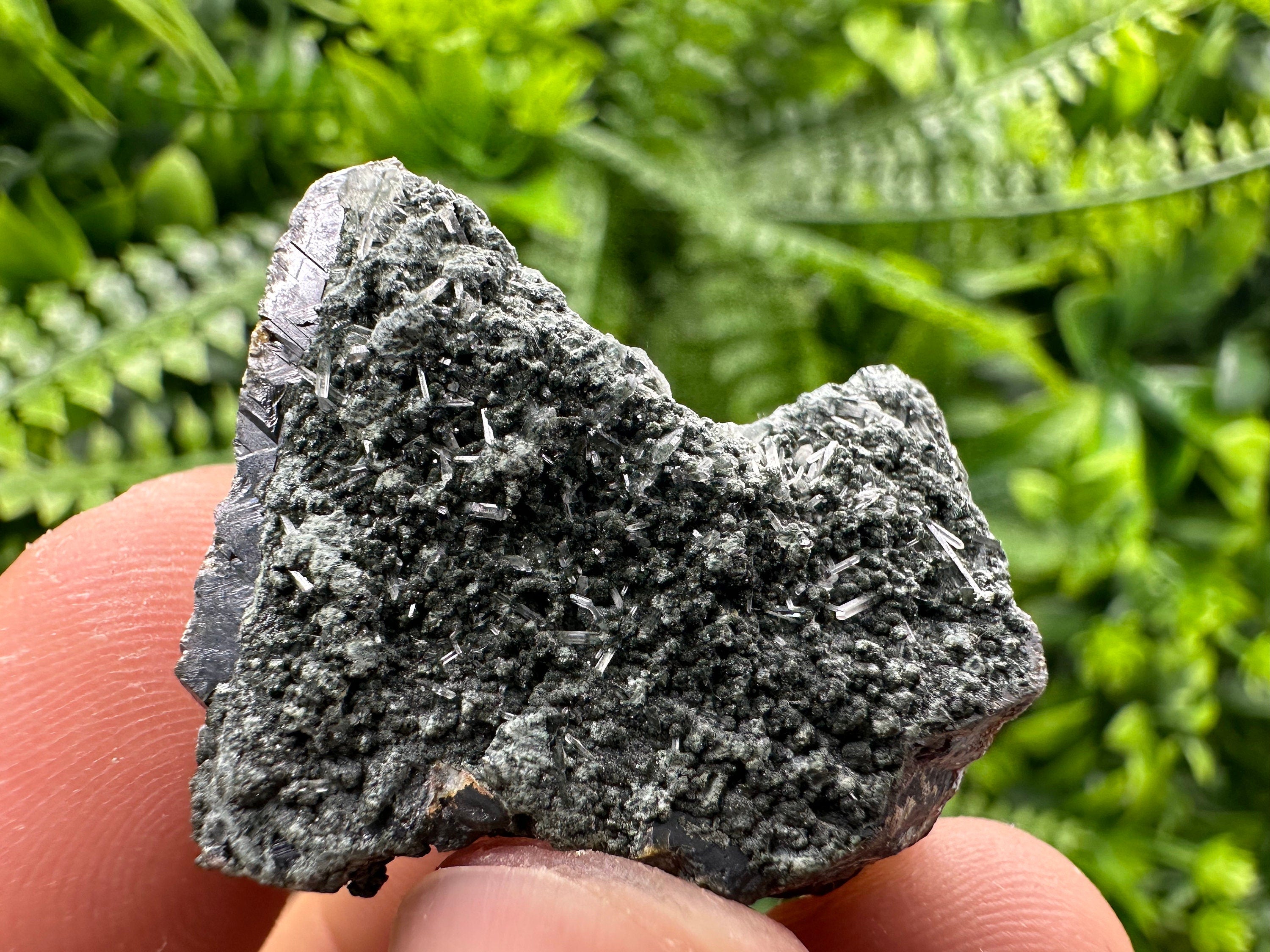 Sphalerite with Quartz and Chlorite, Bulgaria Mineral Specimen