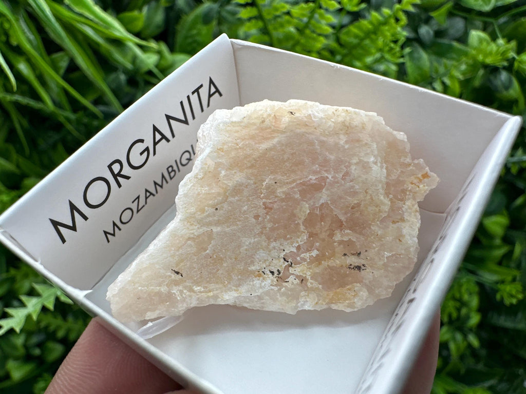 Rare Raw Morganite Specimen: Mozambique Crystal Collection (5/2.5 cm)