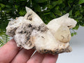 Calcite on Green Quartz: Djurcovo Mine, Bulgaria Healing Crystal