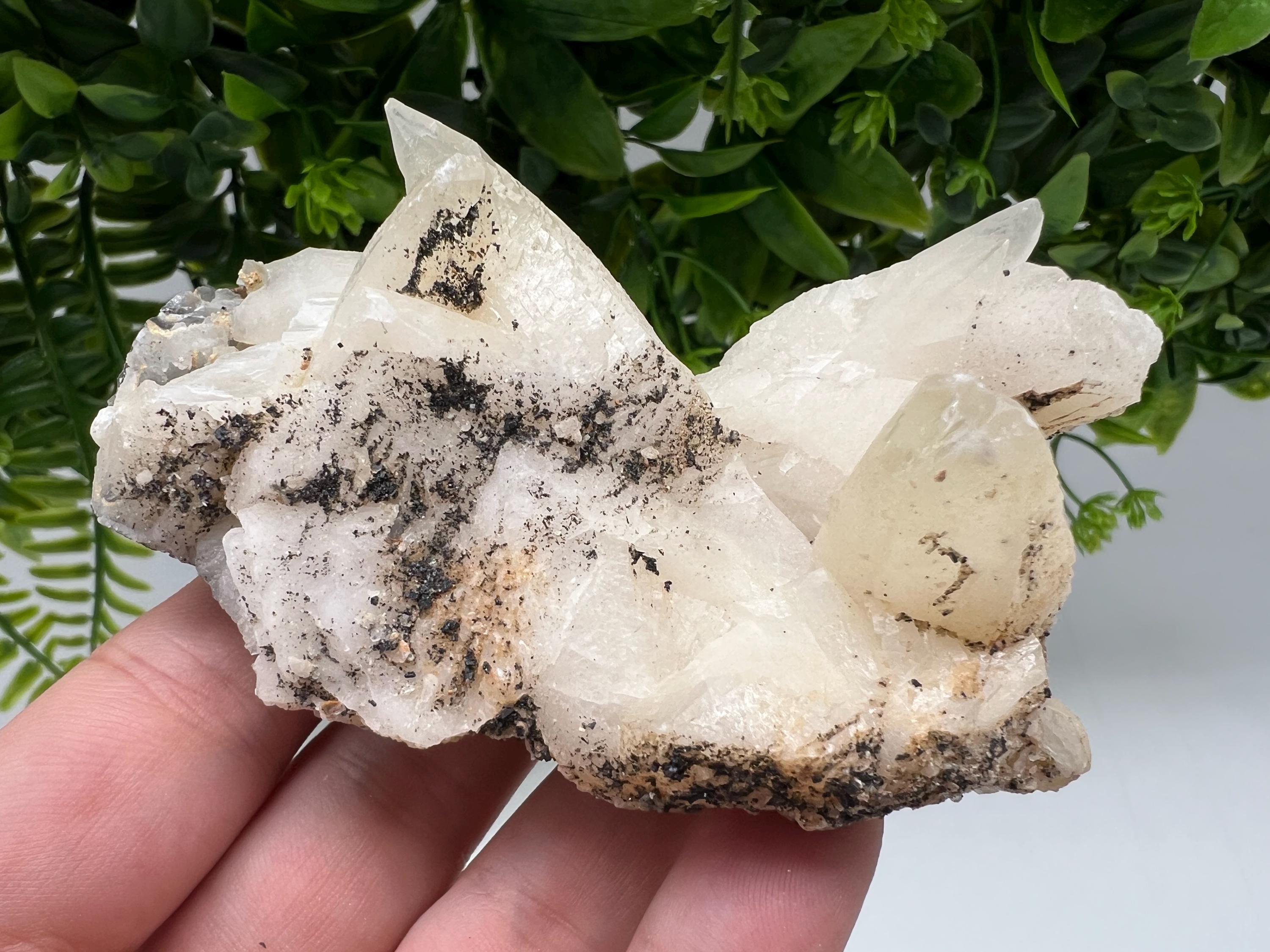 Calcite on Green Quartz: Djurcovo Mine, Bulgaria Healing Crystal
