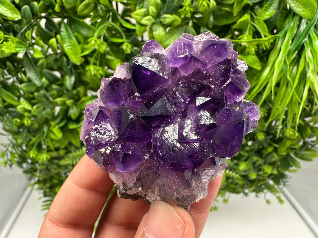 Uruguay Amethyst Cluster, Natural Purple Quartz Crystal, Home Decor