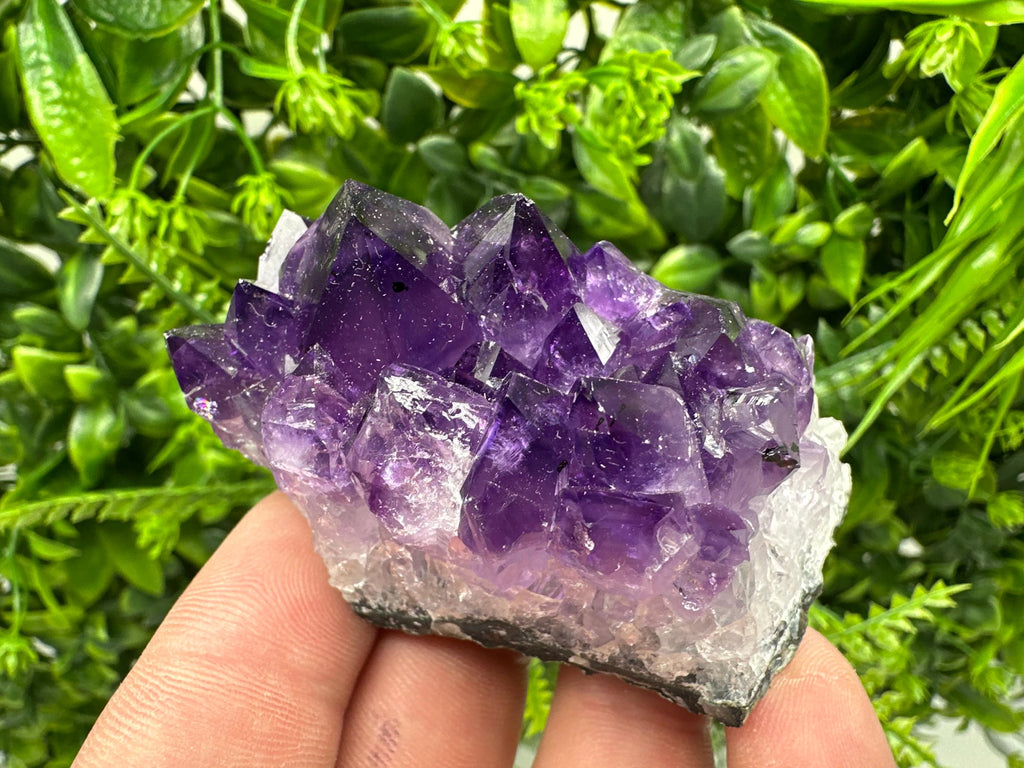 Uruguay Amethyst Cluster: Purple Quartz Crystal, Home Decor