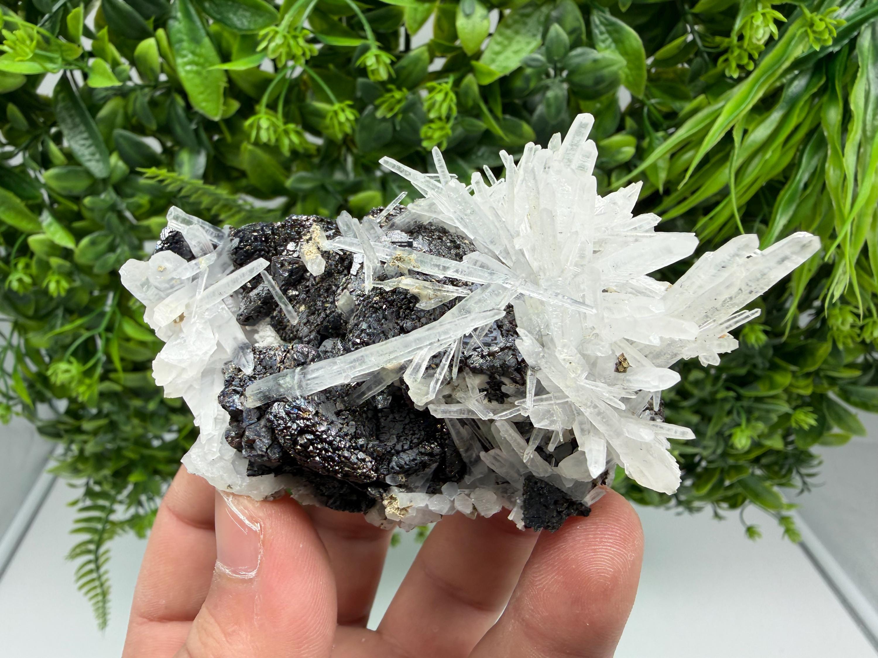 Borieva Sphalerite on Quartz: Rare Mineral Cluster