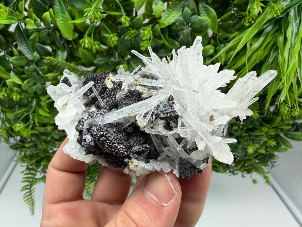 Borieva Sphalerite on Quartz: Rare Mineral Cluster