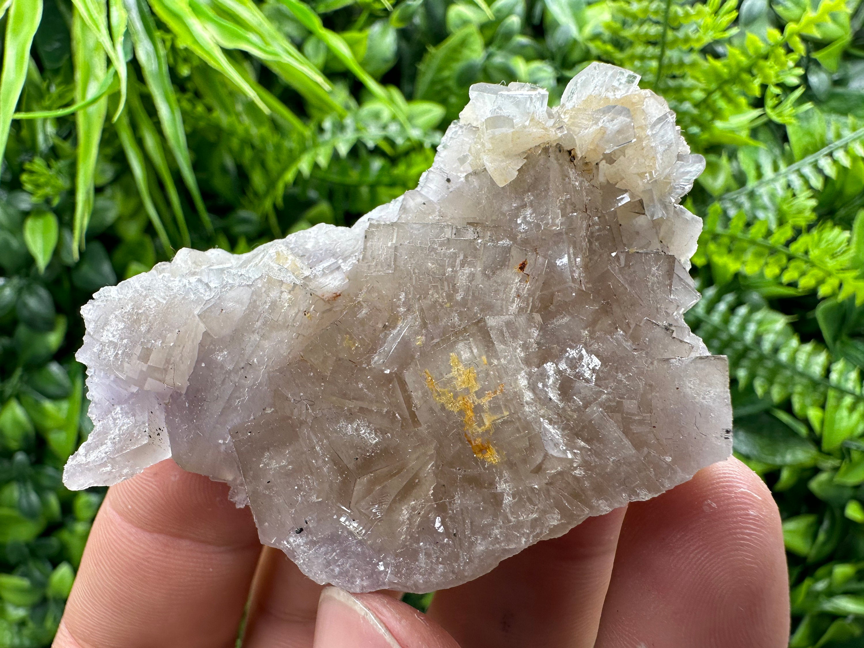 Spanish Fluorite Mineral Specimen: Crystal Collection