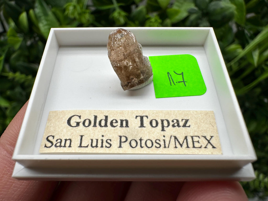 Golden Topaz Crystal, Mineral Specimen from Mexico