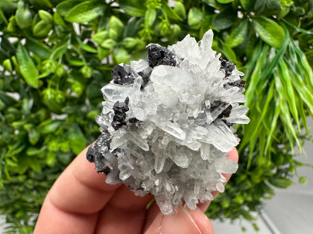 Wonderful Sphalerite Chalcopyrite on Green Quartz whit Hematite feom 9 th September mine,Bulgaria,natural,collection mineral specimen,gift