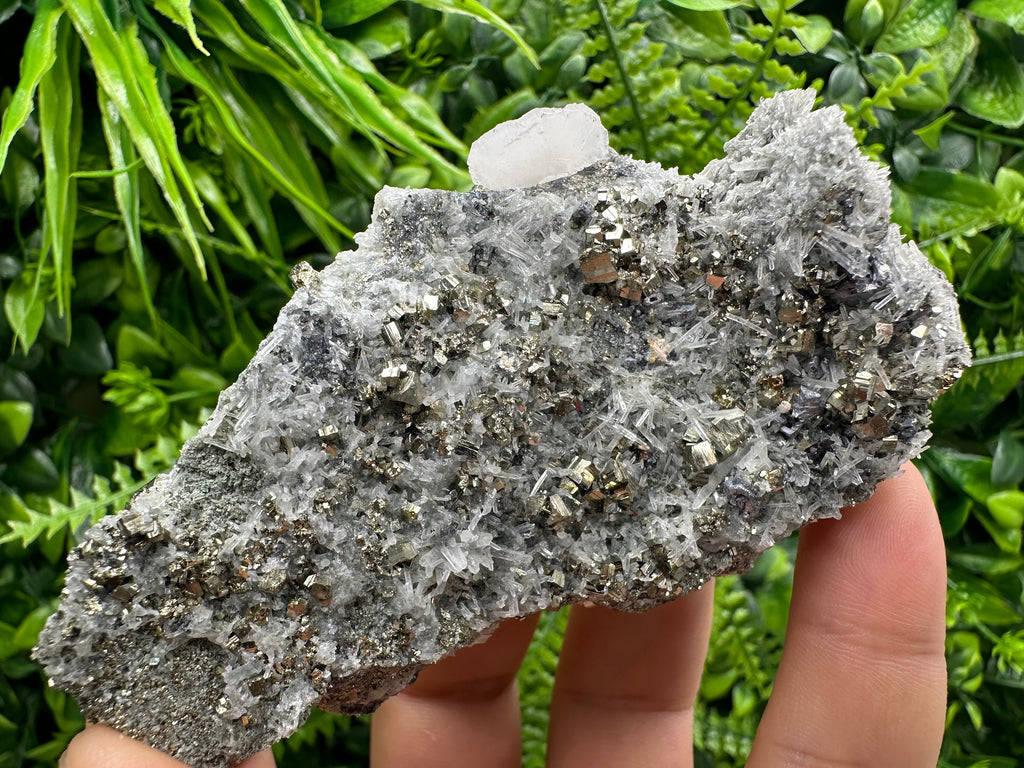 Pyrite on Quartz Specimen: Borieva Mine Bulgaria, Home Decor