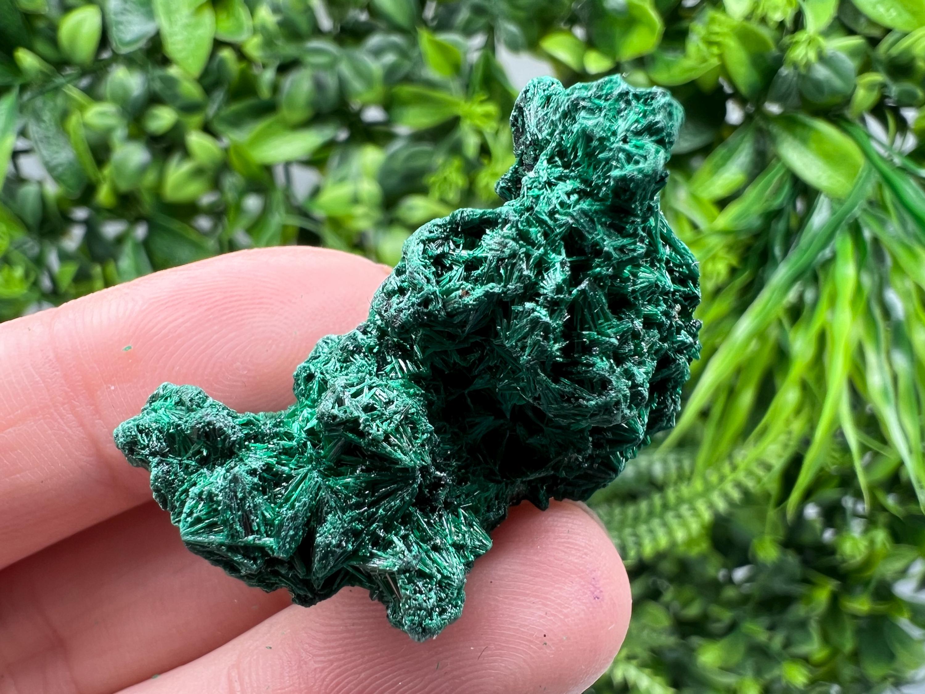 Malachite Crystal from Congo,Minerals,Crystals from Congo,Green Malachite, Malachite,Natural Malachite,Malachite Stone,Chakra, Specimens