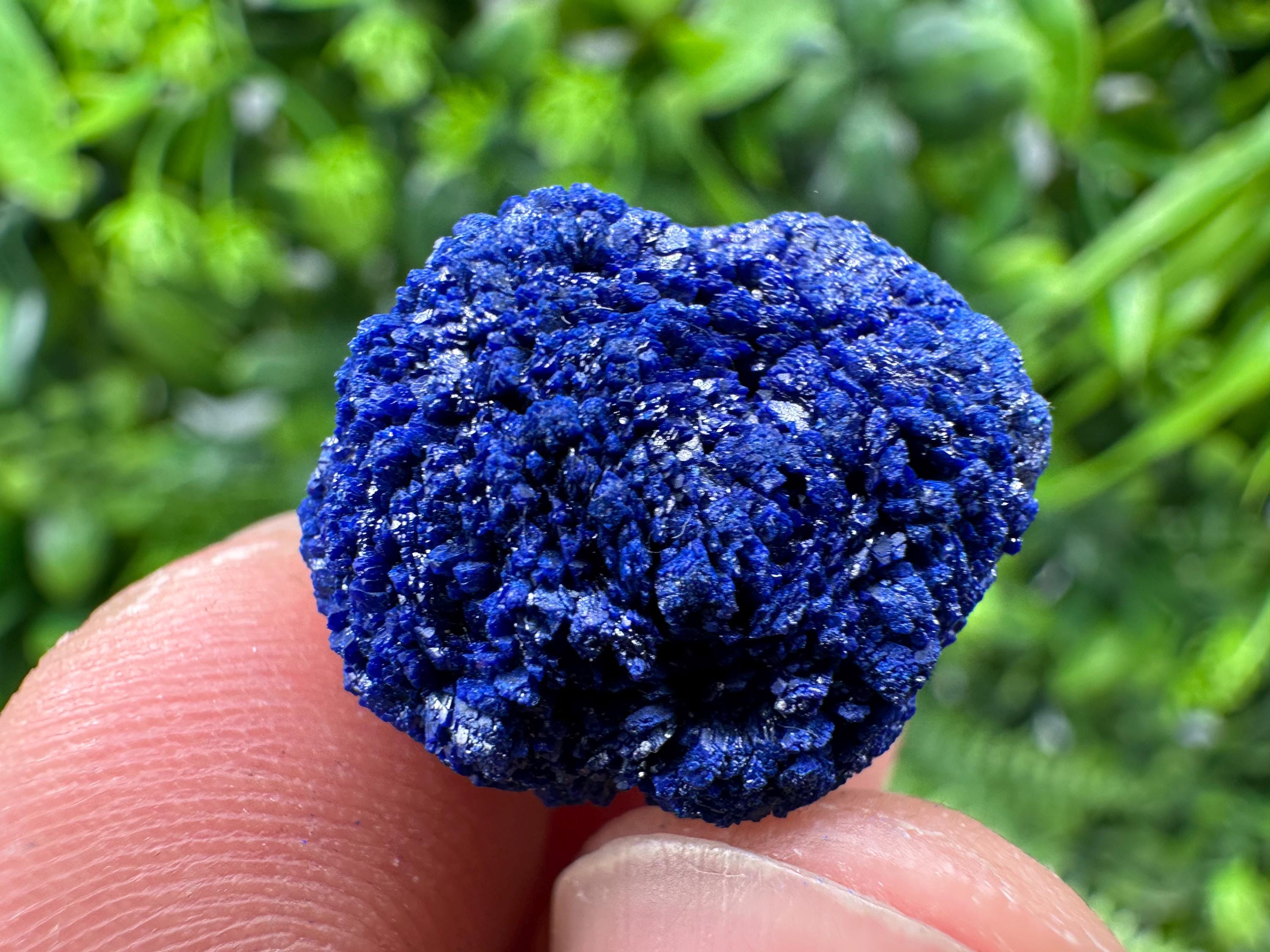 Crystallized Azurite-Kerrouchen,Morocco-Blue Azurite Specimen-High Quality Blue Azurite-Azurite Mineral Specimen, gemmy,lustrous of Azurite