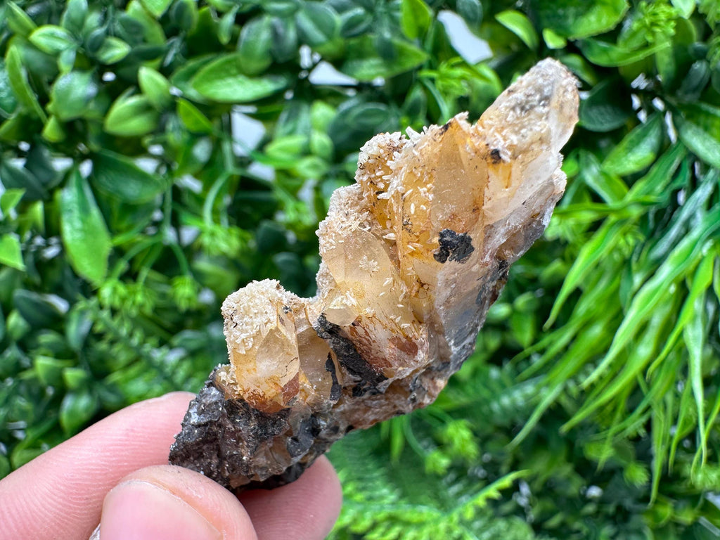 Rare Green/Yellow Pyromorphite & Hematite on Quartz - Madjarovo Mine, Bulgaria