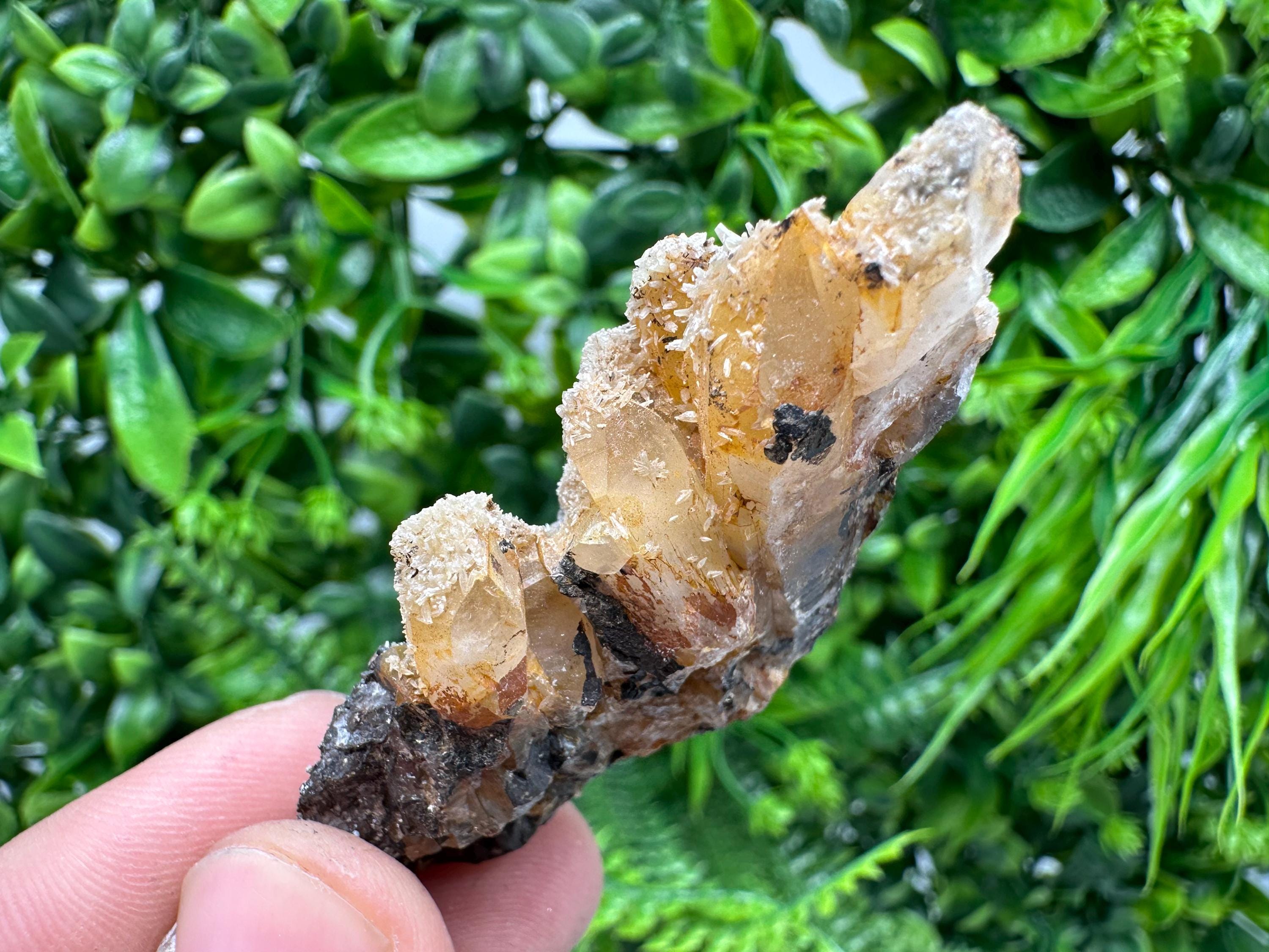 Rare Green/Yellow Pyromorphite & Hematite on Quartz - Madjarovo Mine, Bulgaria