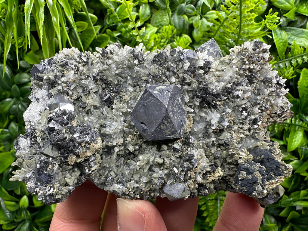 Galena Pyrite Sphalerite on Quartz, Madan Bulgaria Mineral Specimen