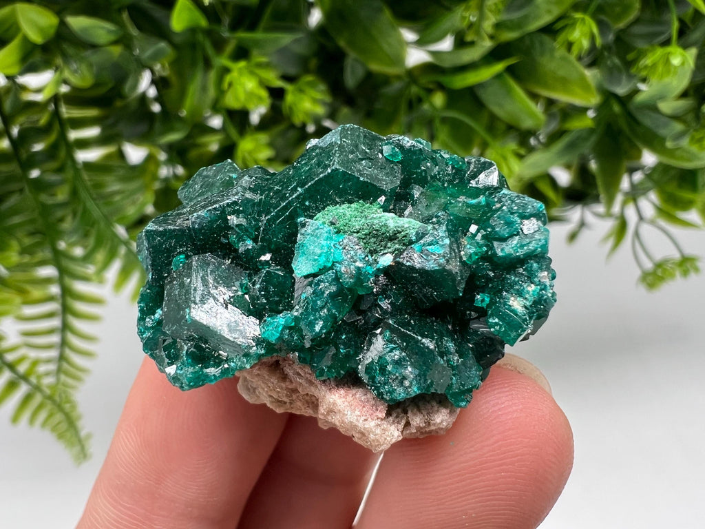 Green Dioptase Crystal Cluster, Sanda Hills Congo