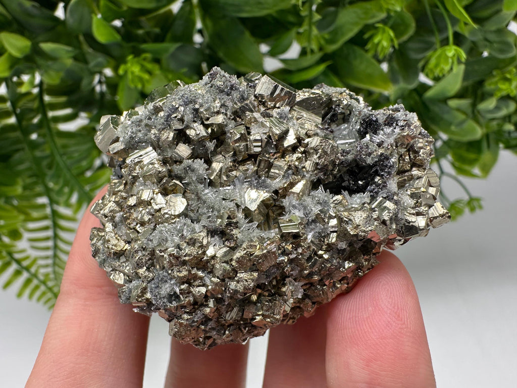 Pyrite on Green Quartz: Rare Mineral Specimen, Borieva Mine