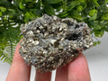 Pyrite on Green Quartz: Rare Mineral Specimen, Borieva Mine