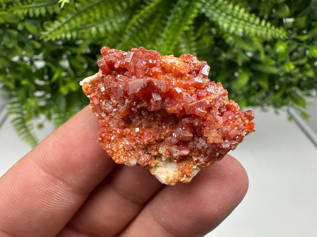 Red Vanadinite on Barite from Marocco,crystal minerals Speciment cluster Vanadinite crystal Vanadinite Geology Vanadinite cluster minerals