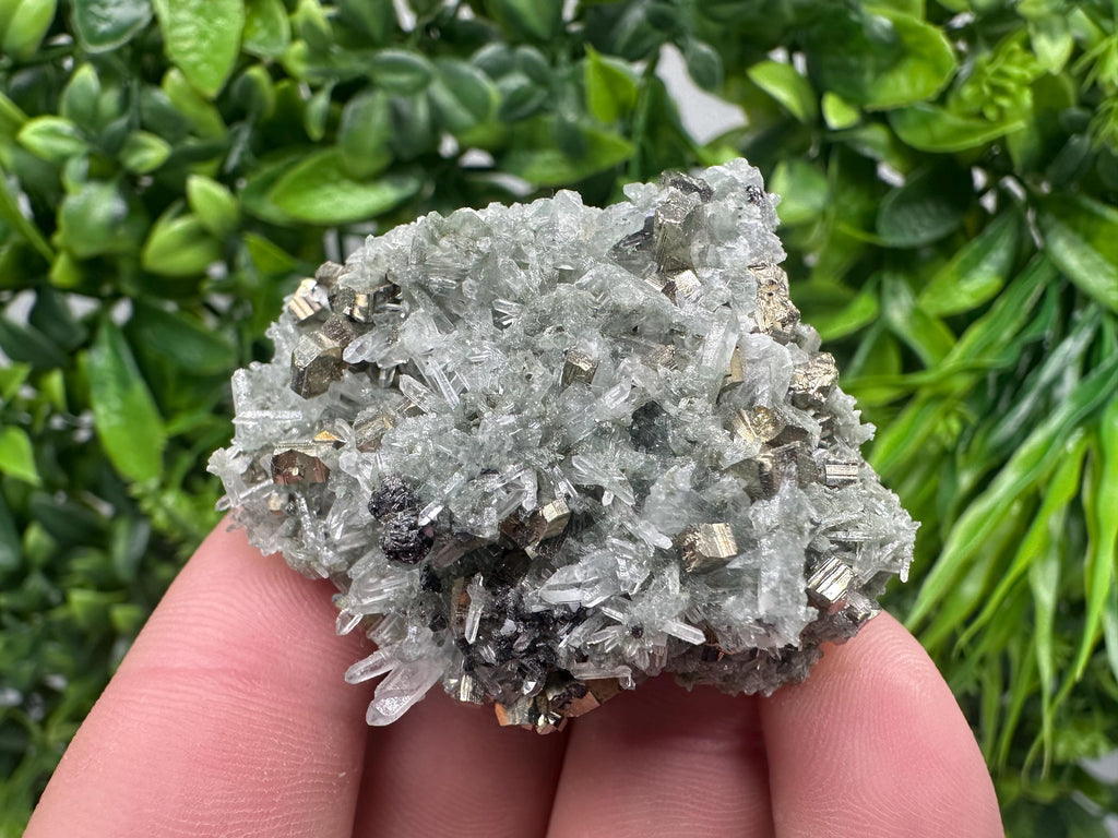 Pyrite on Green Quartz, Bulgaria Mineral Specimen